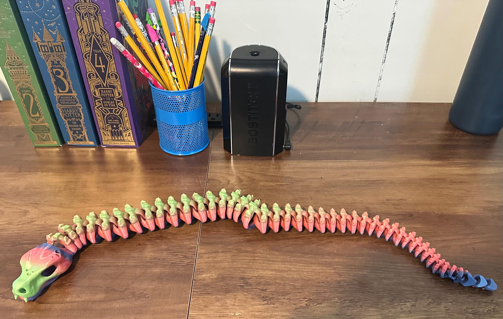 Rainbow Snake!
